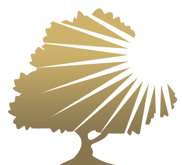 Strategix Solutions is your premier partner for marketing and sales